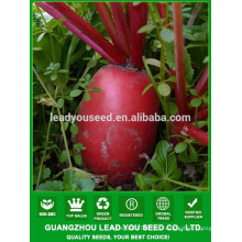 NR04 Piaolian красный редис семена Китай китайские семена овощей